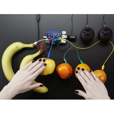 Adafruit Capacitive Touch HAT for Raspberry Pi Mini Kit