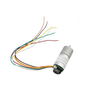 DC6-24v Gear Motor with Encoder